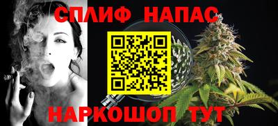 спиды Гагарин